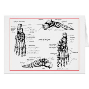 Fotbones. Hälsningskort