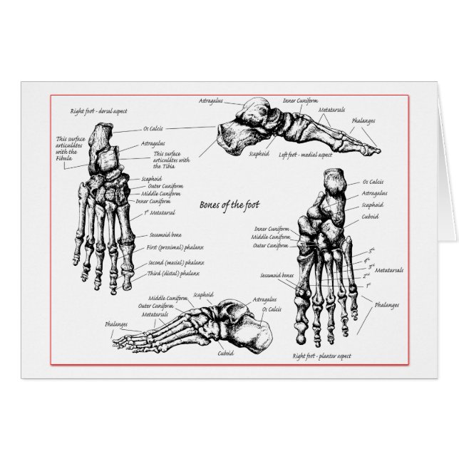 Fotbones. Hälsningskort (Framsidan Horizontal)