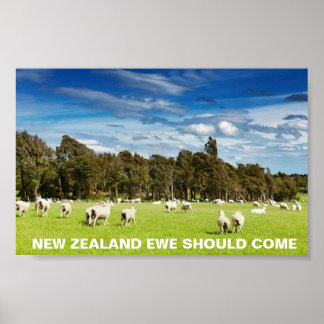 FOTC New Zealand Ewe Borde Kom Poster
