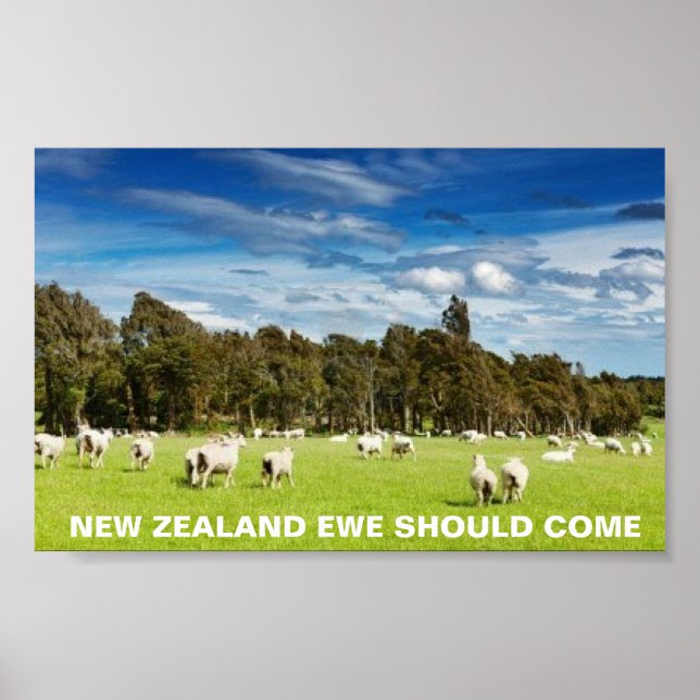FOTC New Zealand Ewe Borde Kom Poster (Framsidan)