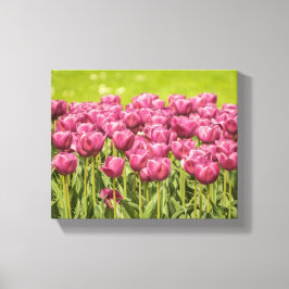 Fotfoto för Fält i tulips Canvastryck