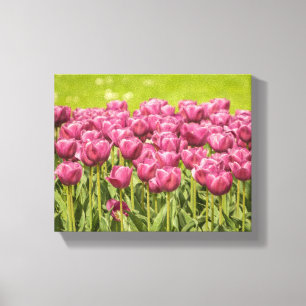 Fotfoto för Fält i tulips Canvastryck