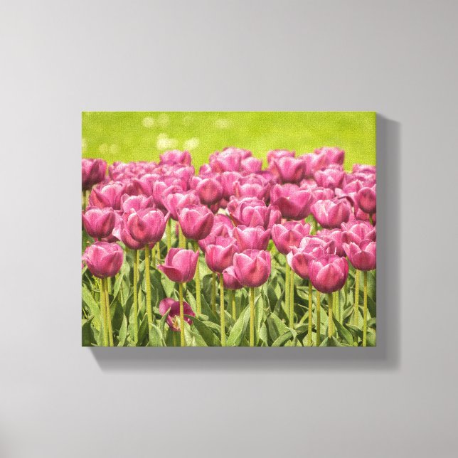 Fotfoto för Fält i tulips Canvastryck (Framsida)