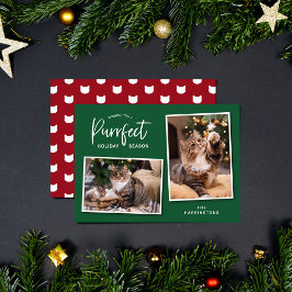 Fotkort för Helgdag av grönt och rött katt Ansikte Julkort