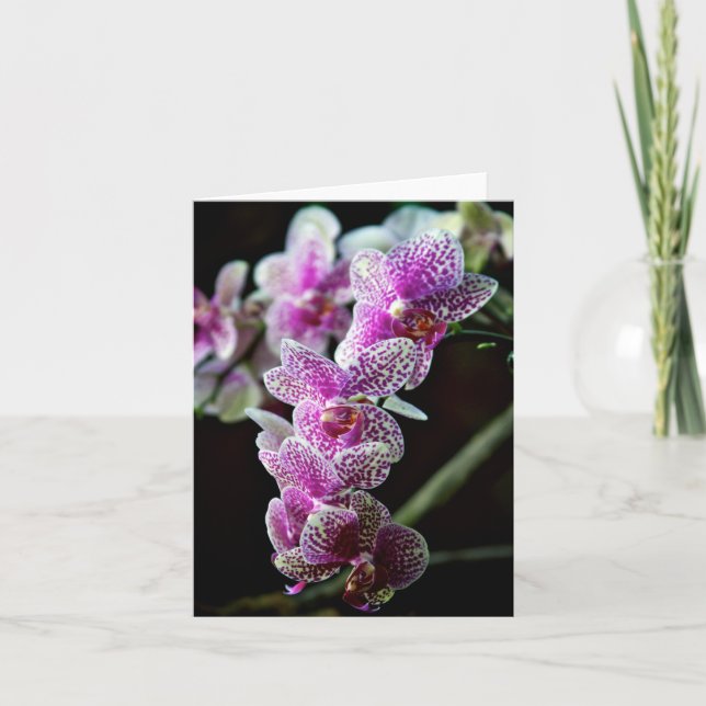 Fotnotkort för Orchid Flowers Kort (Framsida)