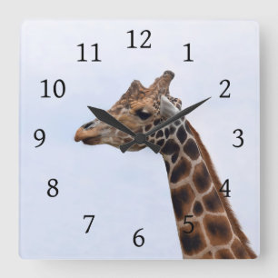 Foto 106 Giraffe Fyrkantig Klocka