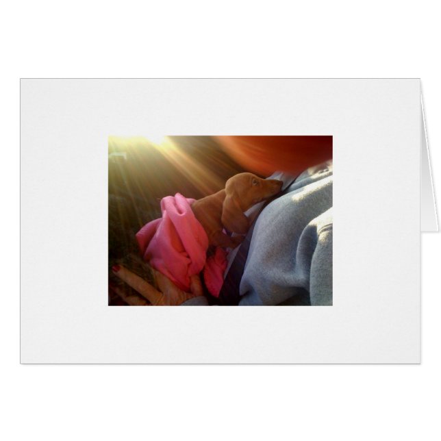 foto[1] hälsningskort (Framsidan Horizontal)