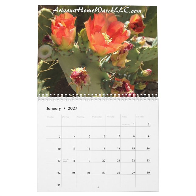 Foto 2015 för öken för LLC för kalenderArizona Kalender (Jan 2027)
