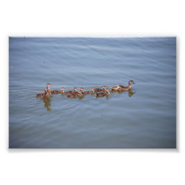 Foto 6x4 Kodak Papper