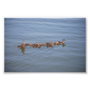 Foto 6x4 Kodak Papper