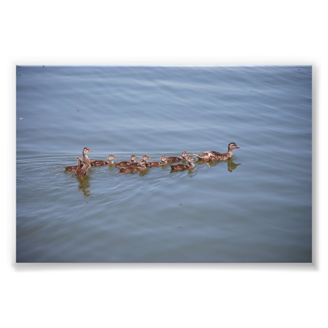 Foto 6x4 Kodak Papper (Framsidan)