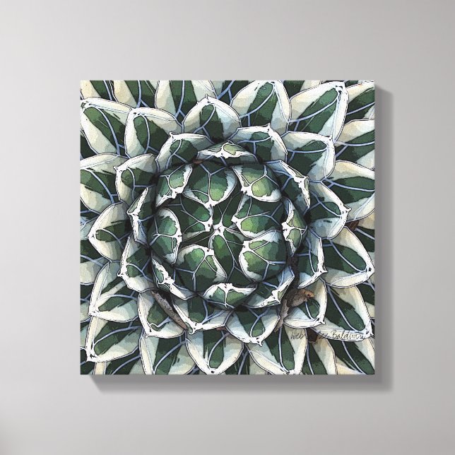 Foto Agave victoria-reginae av Debra Lee Baldwin Canvastryck (Framsida)