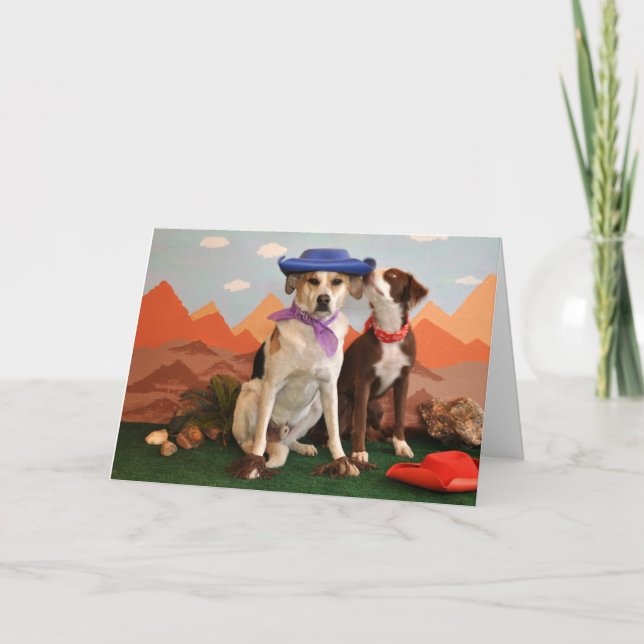 foto av 2 tillgivna hundar med cowboyhattar kort (Framsida)