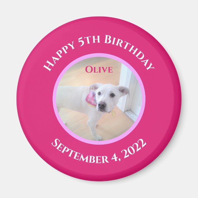 Foto av adabel marionett Hund med Shock rosa Scarf Magnet (Framsidan)