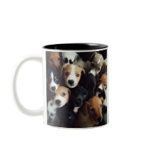 foto av adsible puppy collage