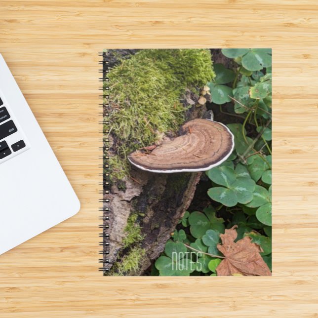 Foto av Bracket Fungus Natature Anteckningsbok (In Situ)