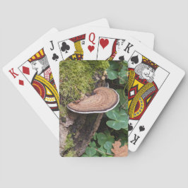 Foto av Bracket Fungus Natature Casinokort