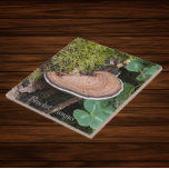 Foto av Bracket Fungus Natature Kakelplatta<br><div class="desc">För naturen och svampvärlden fläkt! Keramiskt plattor som innehåller fotobilden av en Bracket Fungus,  även känd som Shelf Fungus,  som växer på en övertäckt logg. Markera din ruta storlek. Gör en underbar kökstrivet!</div>