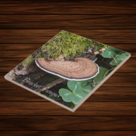 Foto av Bracket Fungus Natature Kakelplatta