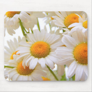 Foto av Bright Summer Daisys Flowers Musmatta