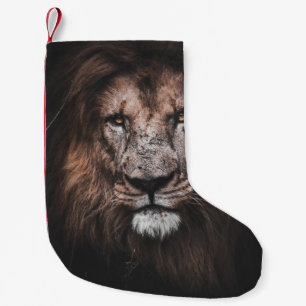 FOTO AV BROWN LEJON LITEN JULSTRUMPA