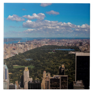 Foto av Central Park i New York City Kakelplatta