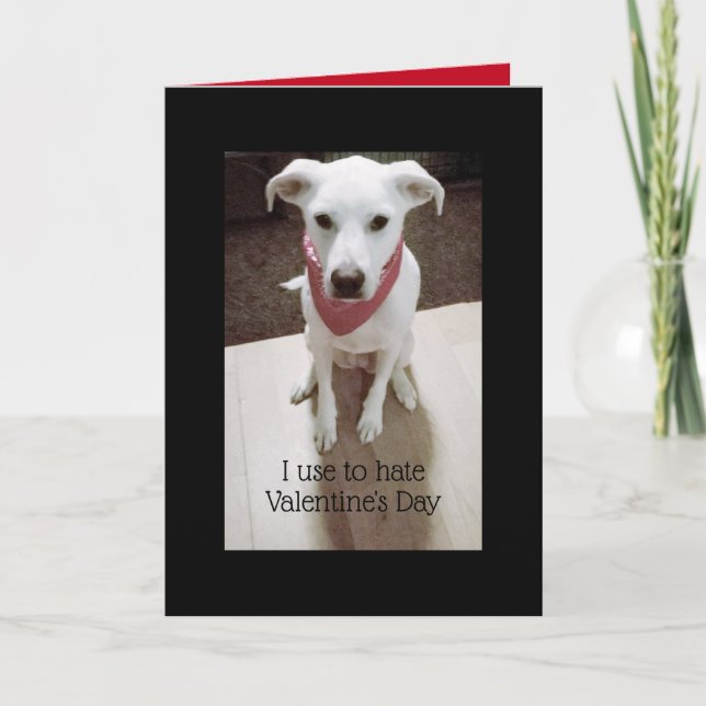 Foto av Cute Arg Hund Valentine Day Black Kort (Framsida)