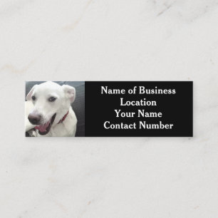 Foto av Cute Funny White Hund Black Mini Visitkort