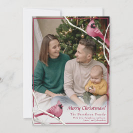Foto av Cute julkardinal Bird Family Julkort