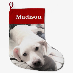 Foto av Cute Puppy Hund Red Stor Julstrumpa