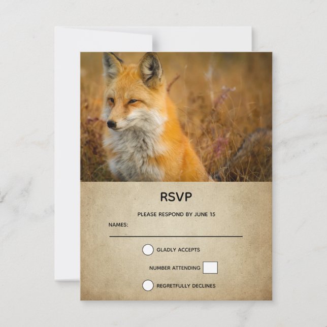 Foto av Cute Red Fox Wilderness Nature OSA Kort (Framsida)