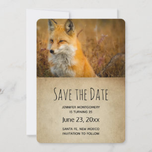 Foto av Cute Red Fox Wilderness Nature Spara Datumet