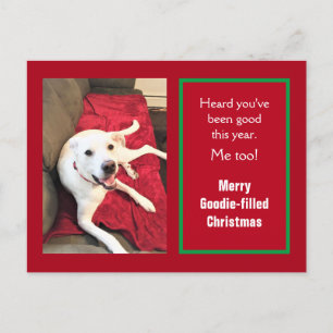 Foto av Cute Smiling White Hund Red-jul Helg Vykort
