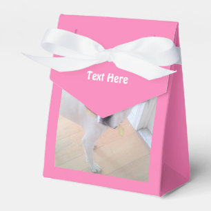 Foto av Cute Sweet White Puppy Hund Rosa Favo Presentaskar