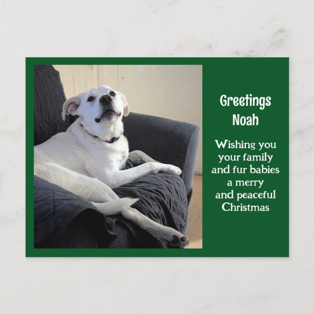 Foto av Cute Talking Hund Grönt jul Vykort (Framsida)