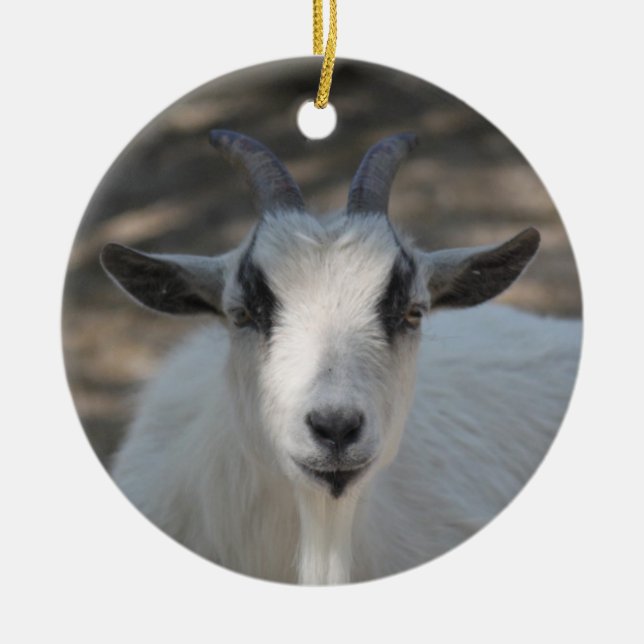 Foto av Cute White Goat Porträtt Julgransprydnad Keramik (Framsidan)
