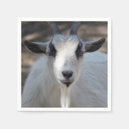 Foto av Cute White Goat Porträtt Pappersservett