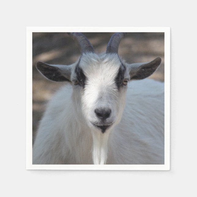 Foto av Cute White Goat Porträtt Pappersservett (Framsidan)