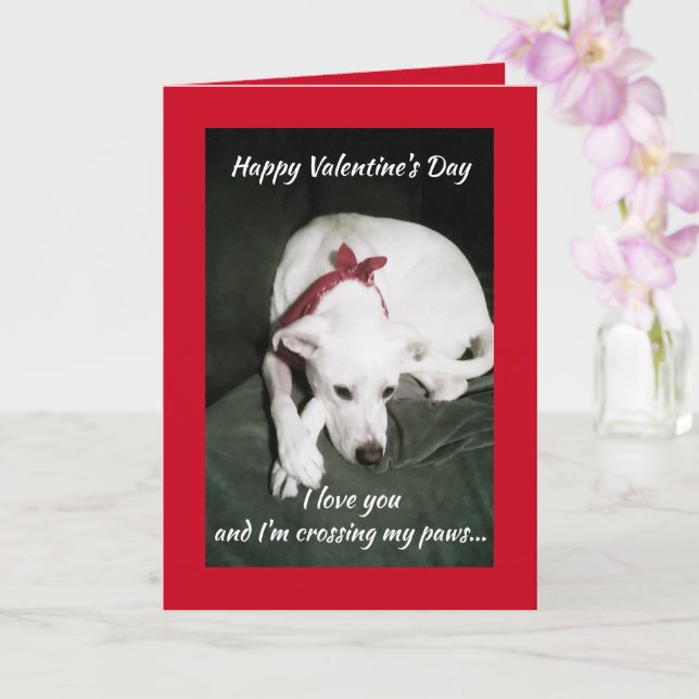 Foto av Cute White Hund Valentine Day Funny Kort (Orkide)