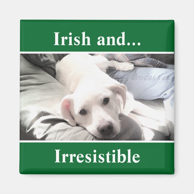 Foto av Cute White Labrador Mix St. Patrick's Day Magnet (Framsidan)