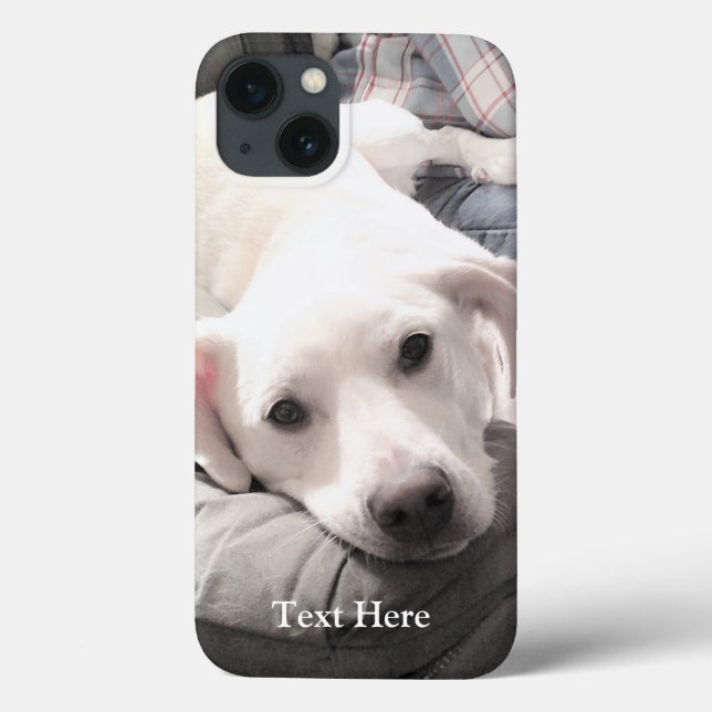 Foto av Cute White Labrador Retriever Mix Hund (Baksida)