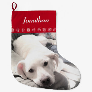 Foto av Cute White Puppy Hund Red Stor Julstrumpa