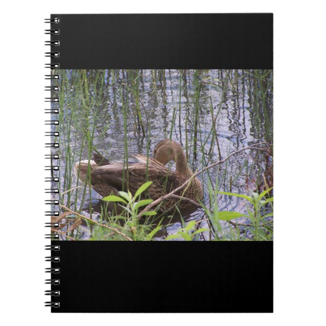 Foto av en anka anteckningsbok (Framsidan)