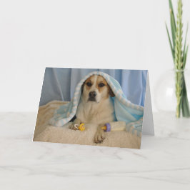 Foto av en hund som en pojke kort