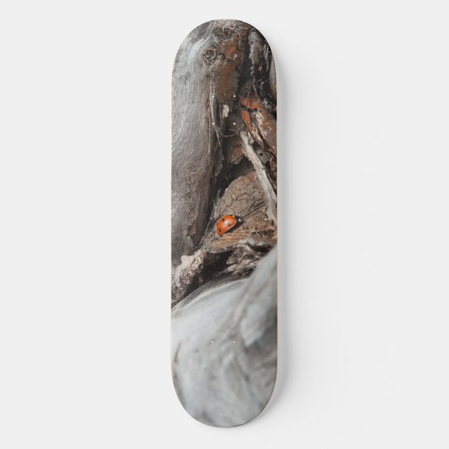 foto av en nyckelpiga mini skateboard bräda 18,7 cm (Framsida)