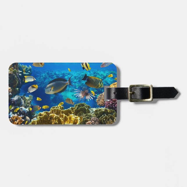 Foto av en tropisk fisk på en korallrev bagagebricka (Horisontell Framsida)