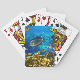 Foto av en tropisk fisk på en korallrev casinokort
