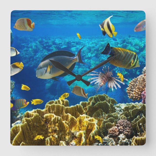 Foto av en tropisk fisk på en korallrev fyrkantig klocka (Framsida)