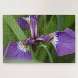 Foto av en vacker, lila iris-blomma pussel