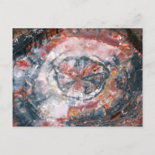 Foto av färgat Petrified Wood Vykort